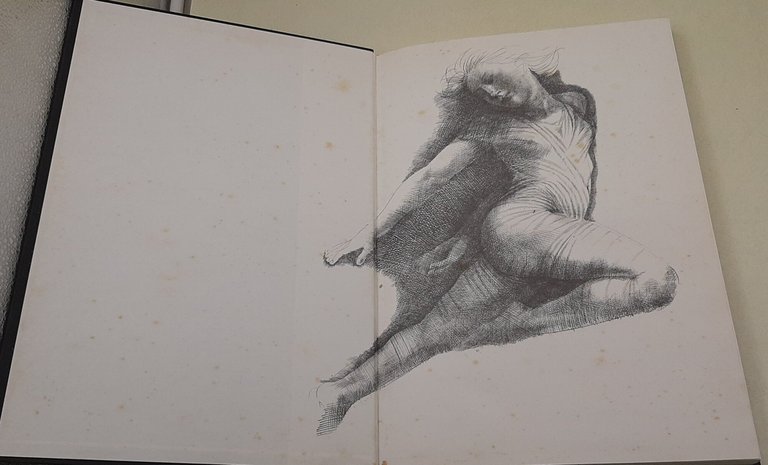 Greco | Immagine Gallery 2