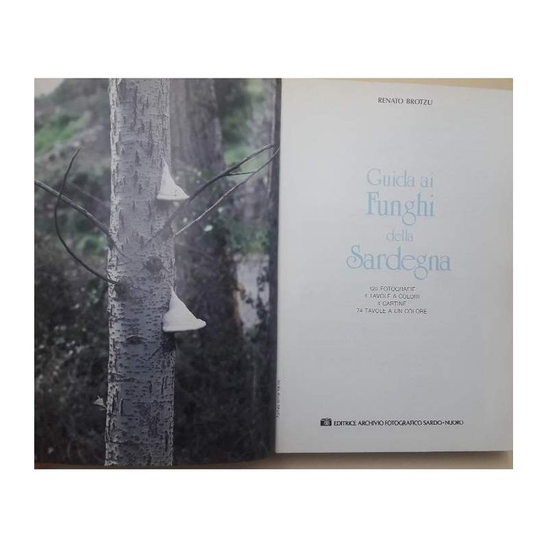 GUIDA AI FUNGHI DELLA SARDEGNA(1988)