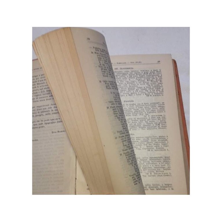 GUIDA BOTANICA D'ITALIA OSSIA CHIAVI ANALITICHE PER DETERMINARE LE PIANTE …