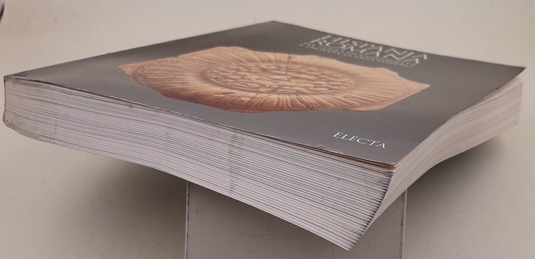 Hispania romana. Da terra di conquista a provincia dell'impero. Ediz. …