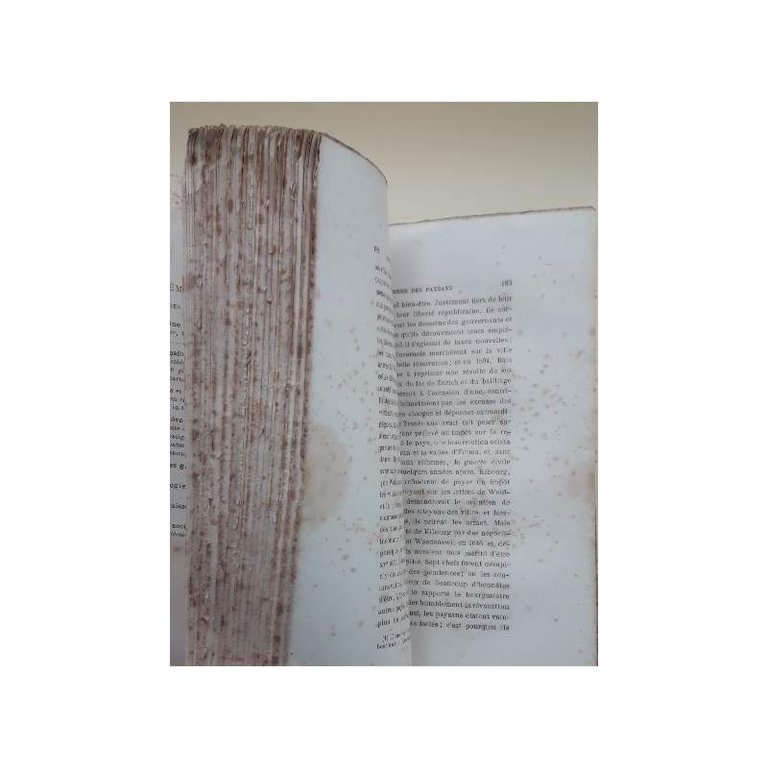 HISTOIRE DU PEUPLE SUISSE(1879)