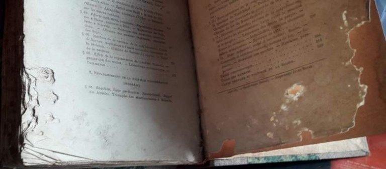 HISTOIRE DU PEUPLE SUISSE(1879)