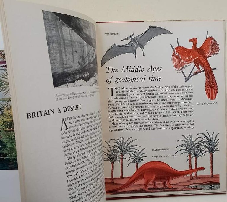 HOW THE EARTH IS MADE(1954)
