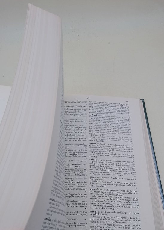 I dialetti italiani-Dizionario etimologico
