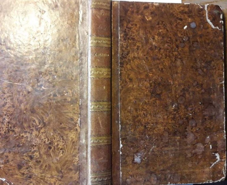 I DIECI LIBRI DELLE LETTERE DI C.PLINIO CECILIO SECONDO TRADOTTE …