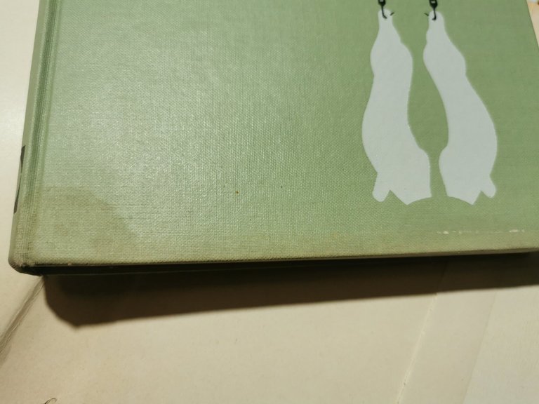 I macelli - Costruzione, gestione, aspetti sanitari