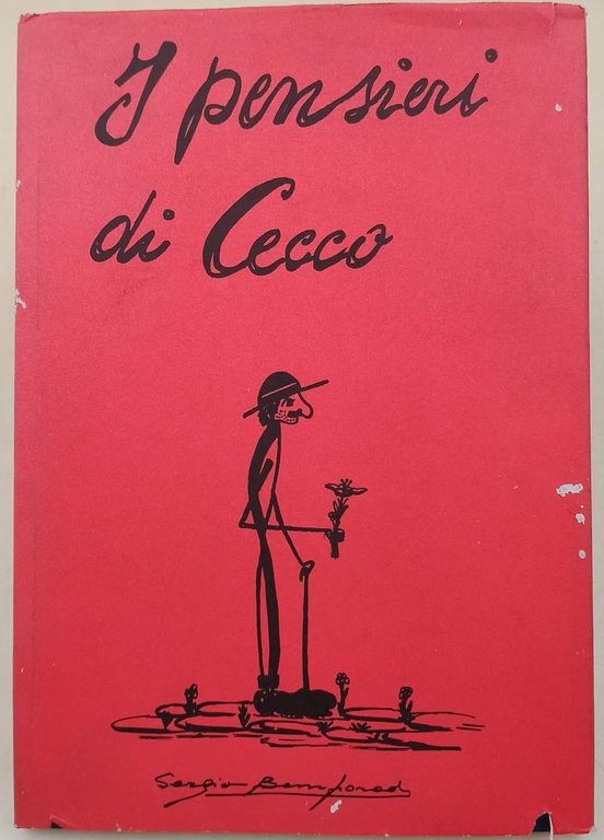 I PENSIERI DI CECCO(ANNI'70)