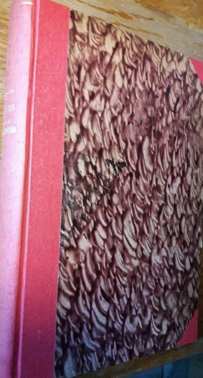 I RIBELLI DELLA MONTAGNA-ROMANZO POSTUMO(1940)
