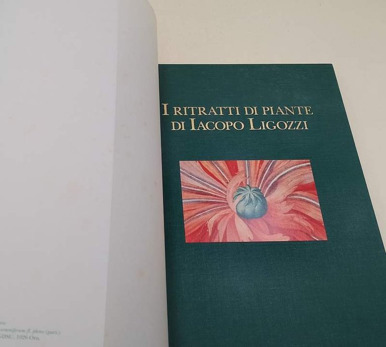 I RITRATTI DI PIANTE DI IACOPO LIGOZZI( 1993)