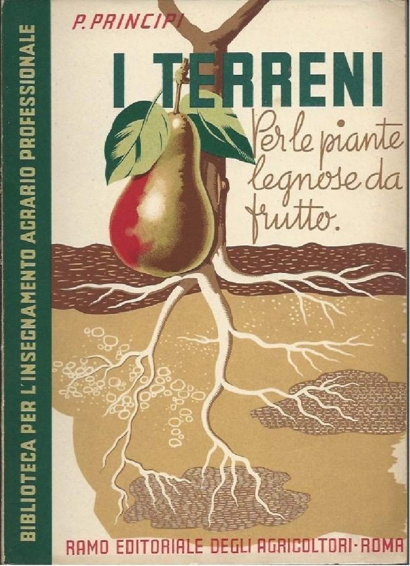 I TERRENI PER LE PIANTE LEGNOSE DA FRUTTO