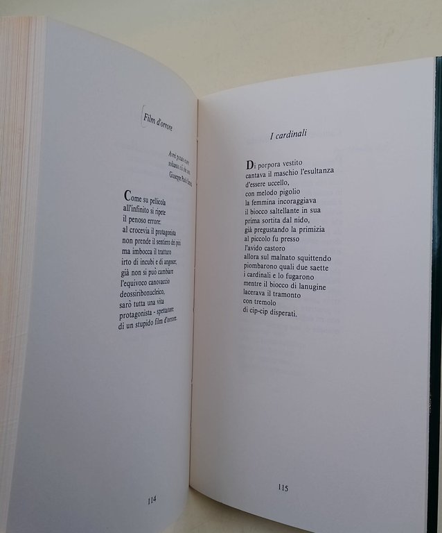 Ibrido-poesie (1949-1986)