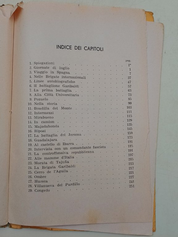 Il Battaglione Garibaldi