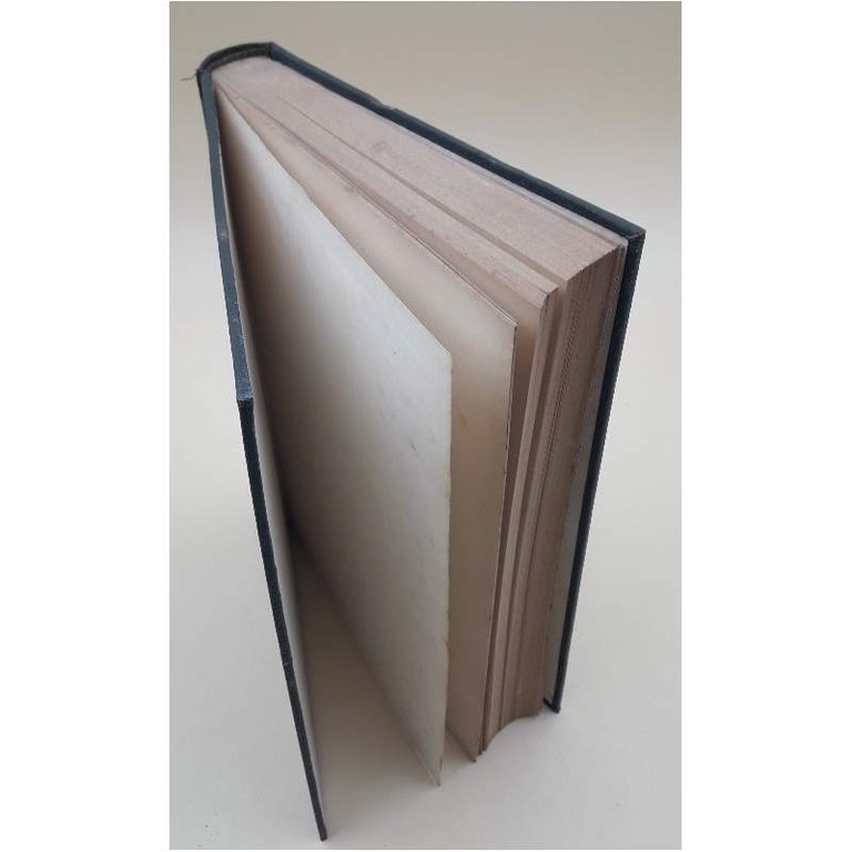 IL BIENNIO ROSSO 1919-1921( 1958)