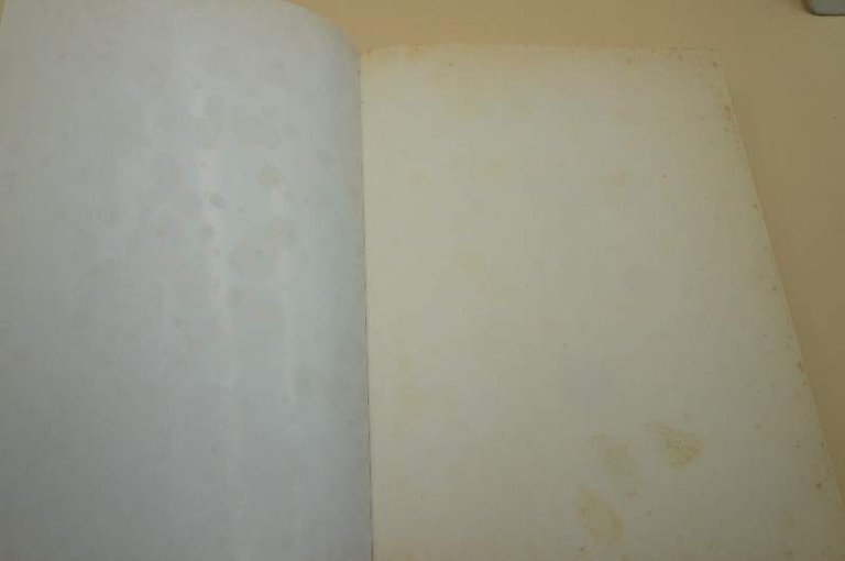 IL BOMBARDAMENTO DI MONTECASSINO-DIARIO DI GUERRA( 1997)