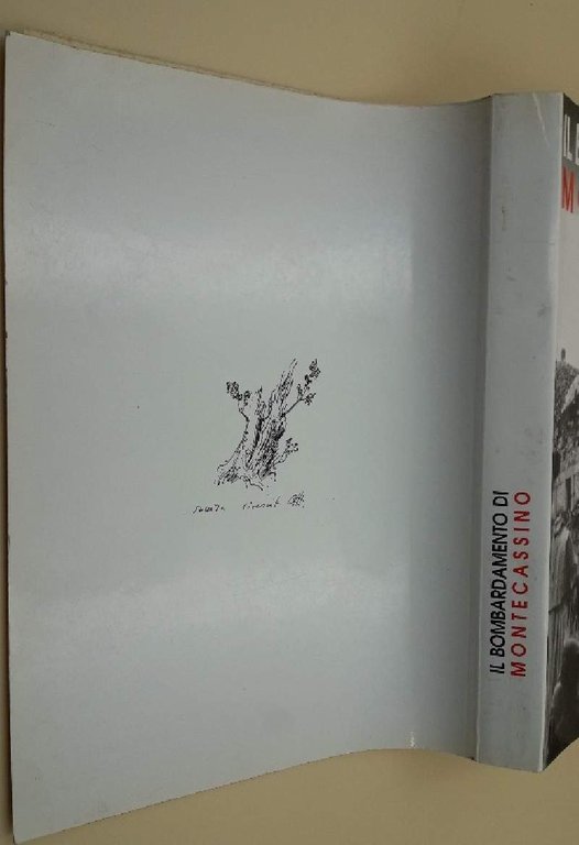 IL BOMBARDAMENTO DI MONTECASSINO-DIARIO DI GUERRA( 1997)