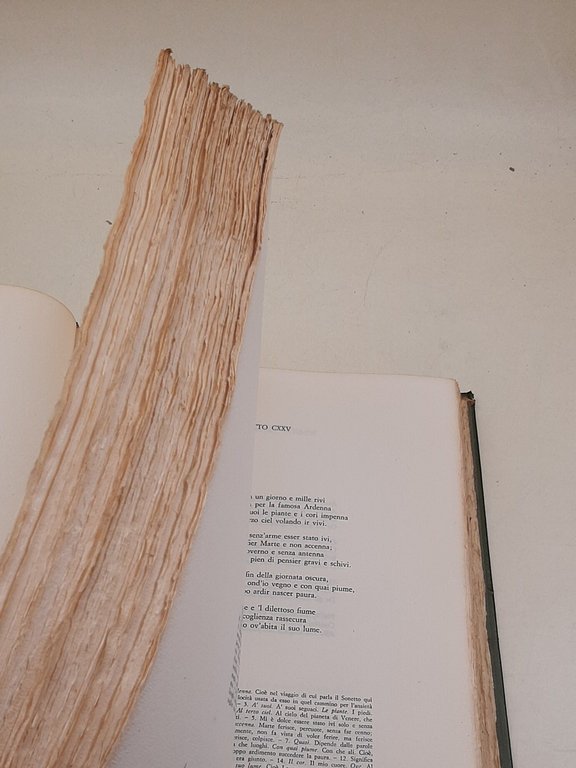 Il Canzoniere - Con le note critiche di Giacomo Leopardi | Immagine Gallery 2