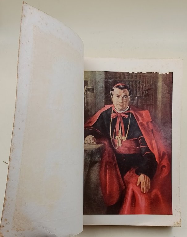 Il Cardinale Maffi