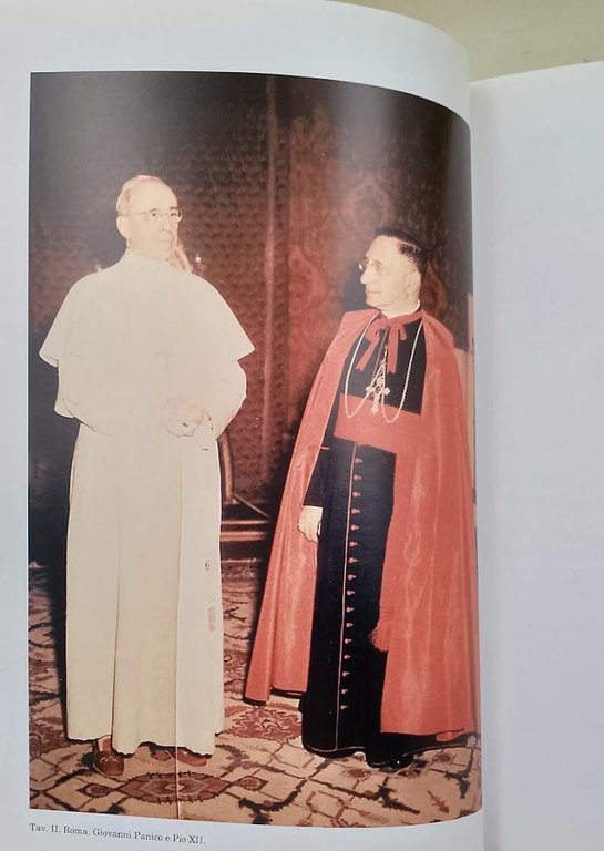 IL CARDINALE PANICO E LA SUA TERRA(1995)