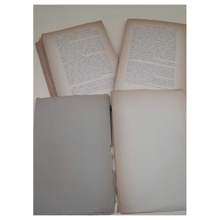 IL CONCETTO DELLA SCHIAVITU' DA ARISTOTELE AI DOTTORI SCOLASTICI(1908)