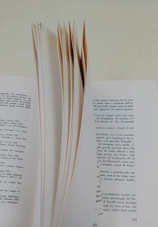 IL CORREGGIO E ALTRI STUDI(1961)