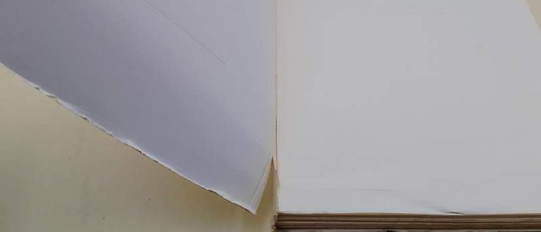 IL CORREGGIO E ALTRI STUDI(1961)