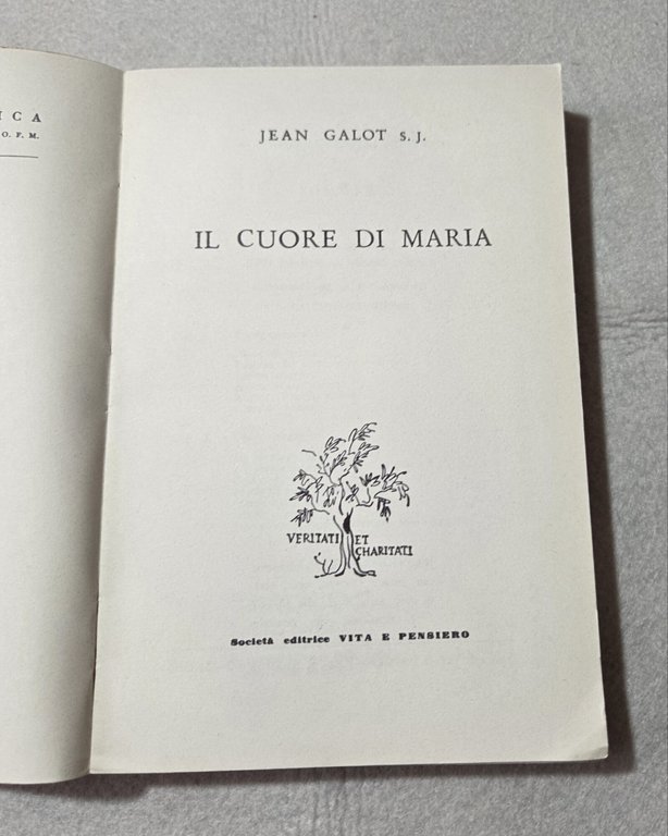 Il cuore di Maria | Immagine Gallery 2