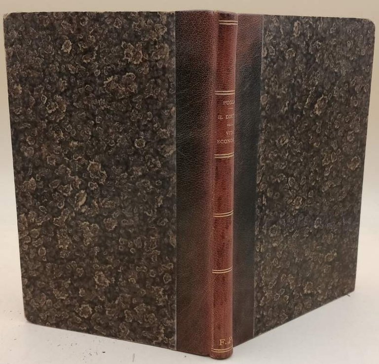 IL DIRITTO NELLA VITA ECONOMICA-SAGGIO DI FILOSOFIA GIURIDICA( 1885)