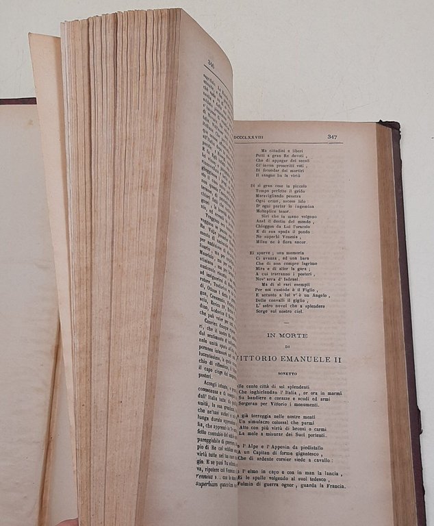 Il IX gennaio MDCCCLXXVIII ossia - Il mondo civile in … | Immagine Gallery 5