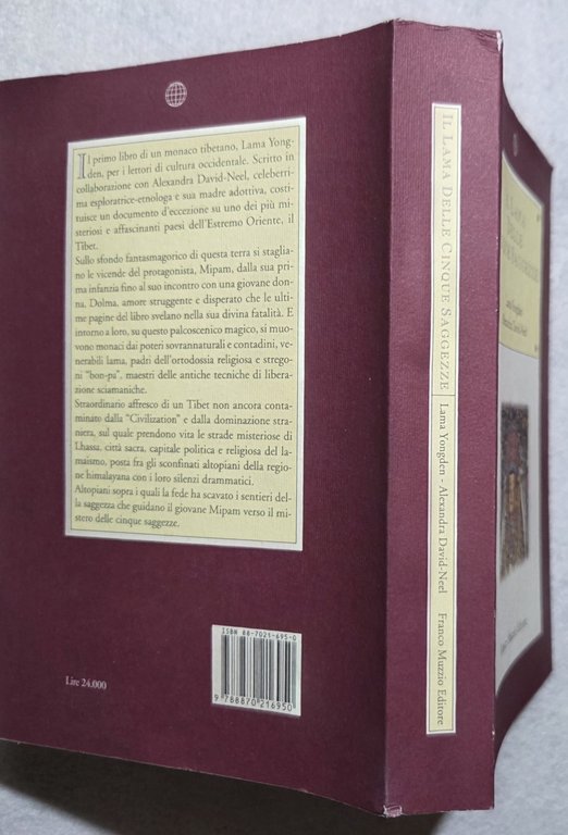 Il Lama delle cinque saggezze | Immagine Gallery 3