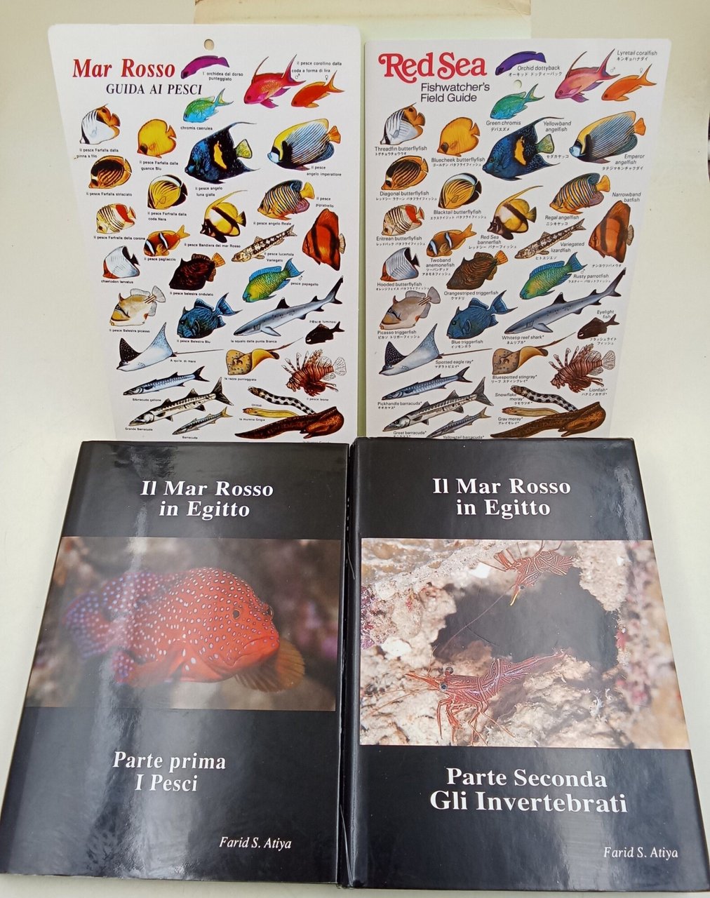 Il Mar Rosso in egitto- 2 voll. Parte prima - …