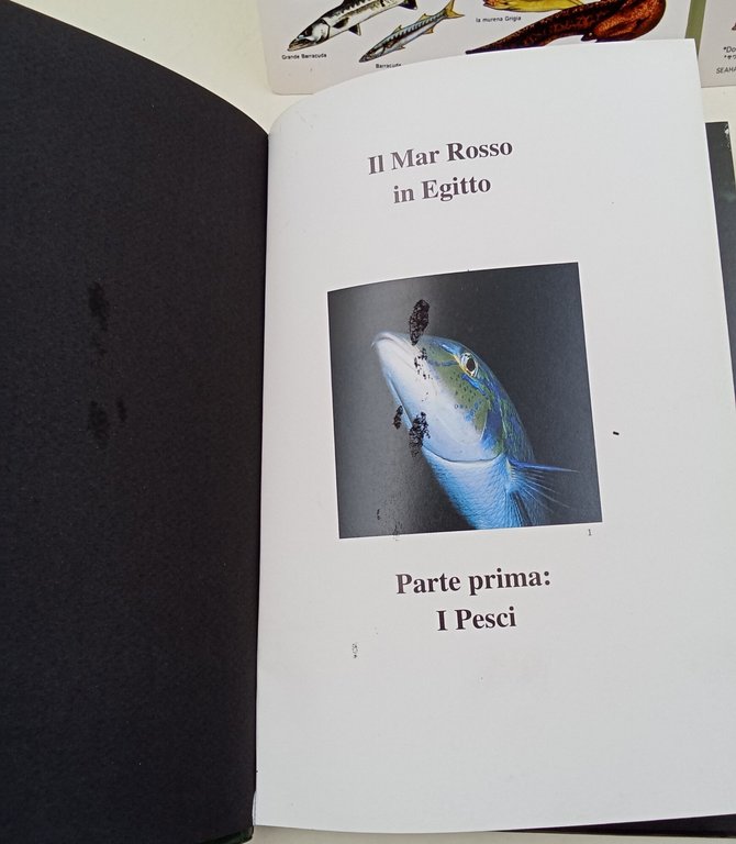 Il Mar Rosso in egitto- 2 voll. Parte prima - …