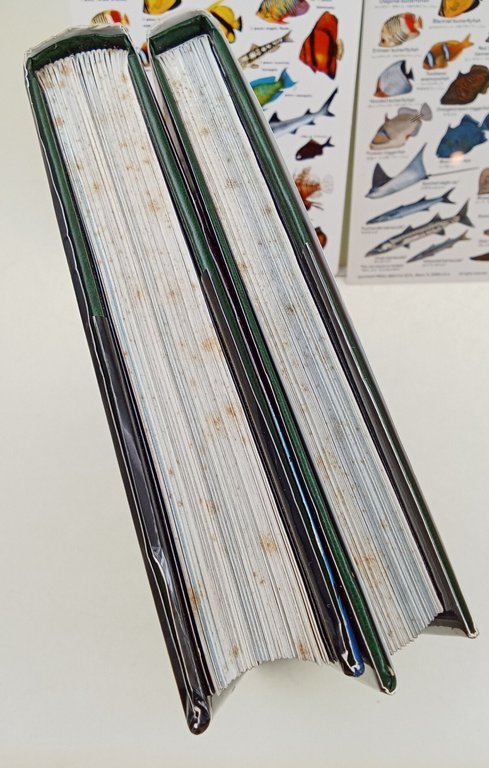 Il Mar Rosso in egitto- 2 voll. Parte prima - …