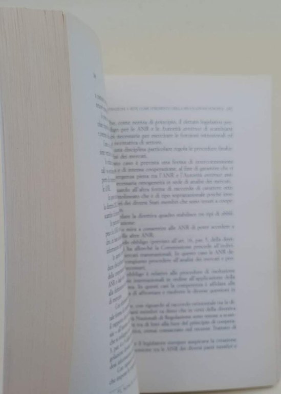 IL MODELLO EUROPEO DI REGOLAZIONE- ATTI DELLA GIORNATA DI STUDIO …