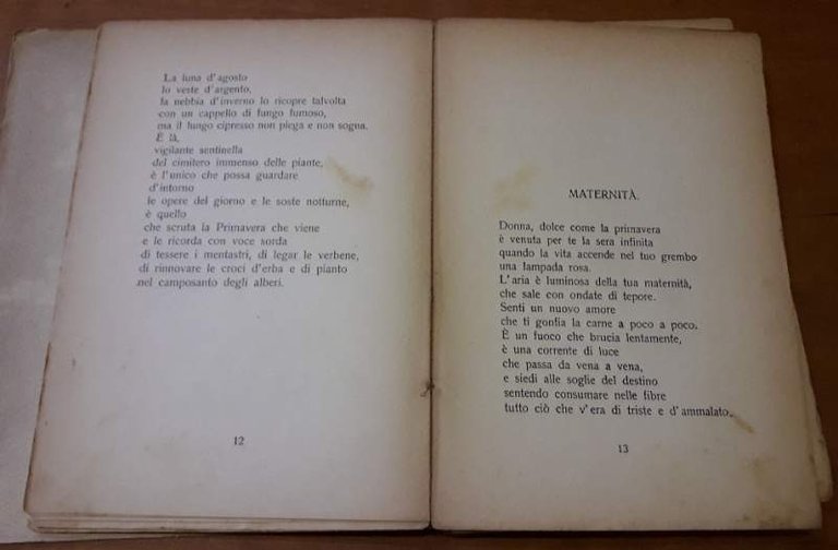IL MULINO DELLA LUNA(1924)