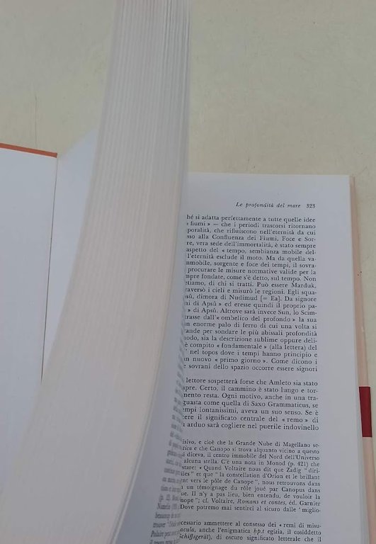 IL MULINO DI AMLETO-SAGGIO SUL MITO E SULLA STRUTTURA DEL …