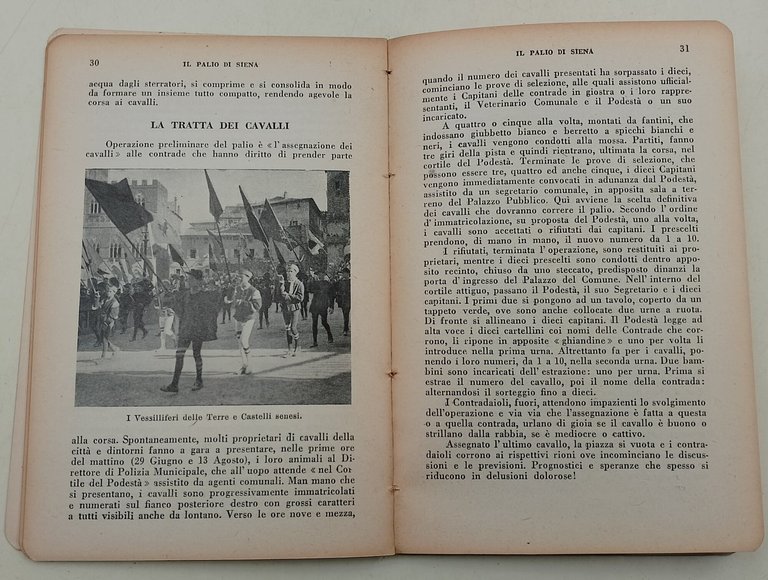 Il Palio di Siena