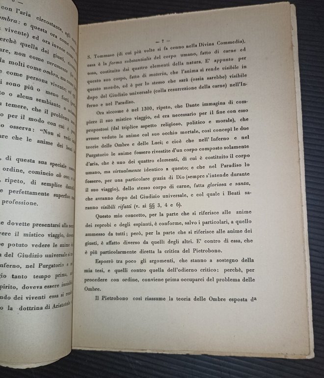 Il problema delle ombre e delle luci nella Divina Commedia-nota …