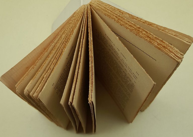 Il ritorno di " Pie' storto " | Immagine Gallery 3