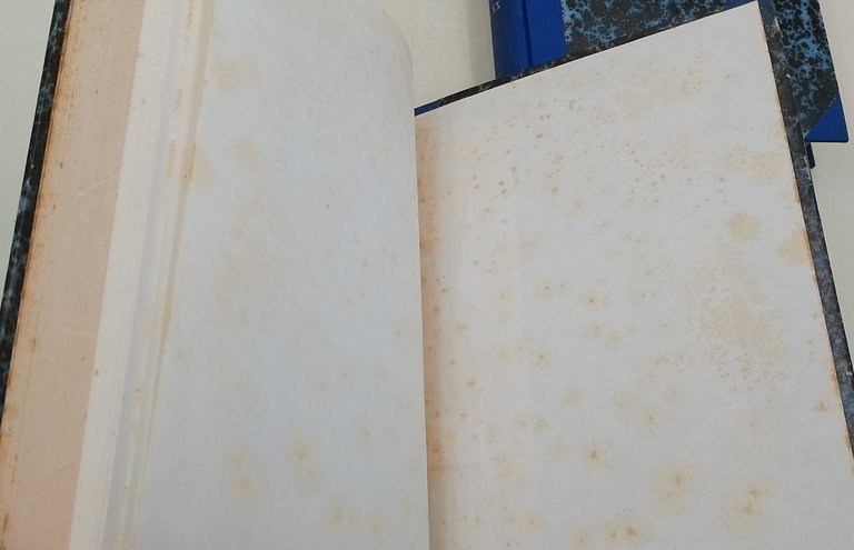 Il simbolo-raccolta di testi e lezioni tenute ad assisi ai …