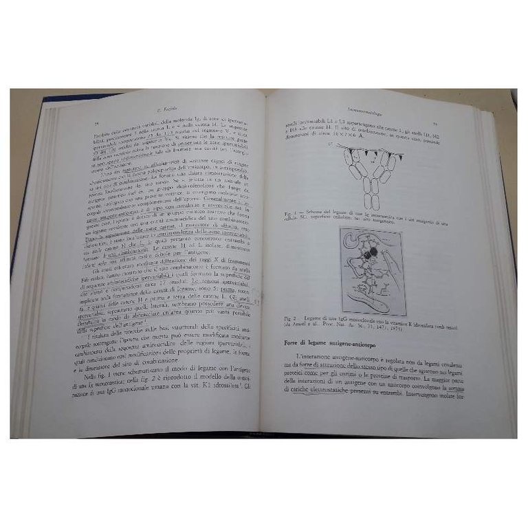 IMMUNOEMATOLOGIA- teoria e tecniche sierologiche(1979)