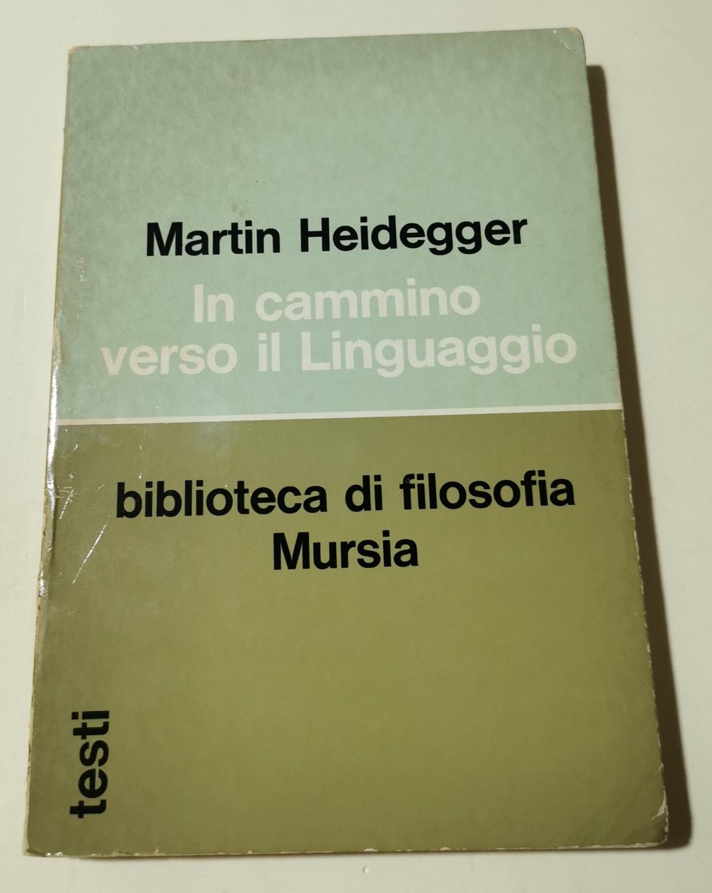 In cammino verso il linguaggio