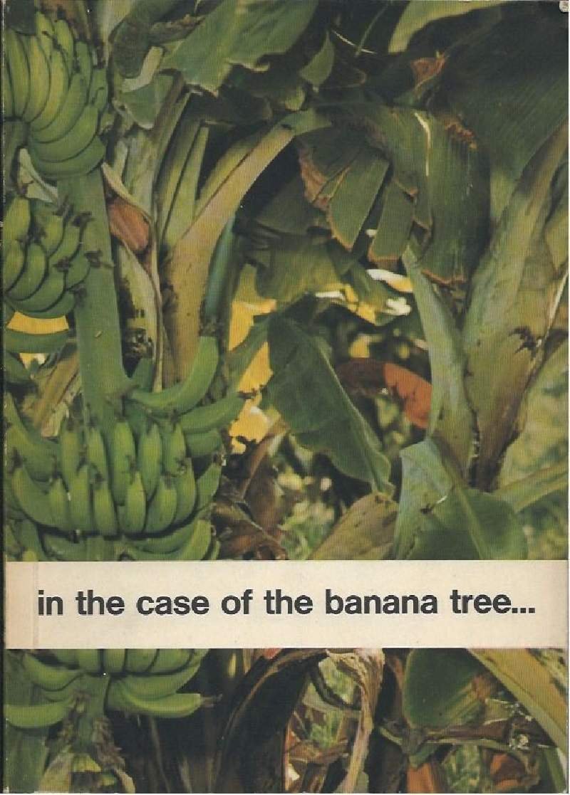 IN THE CASE OF THE BANANA TREE...