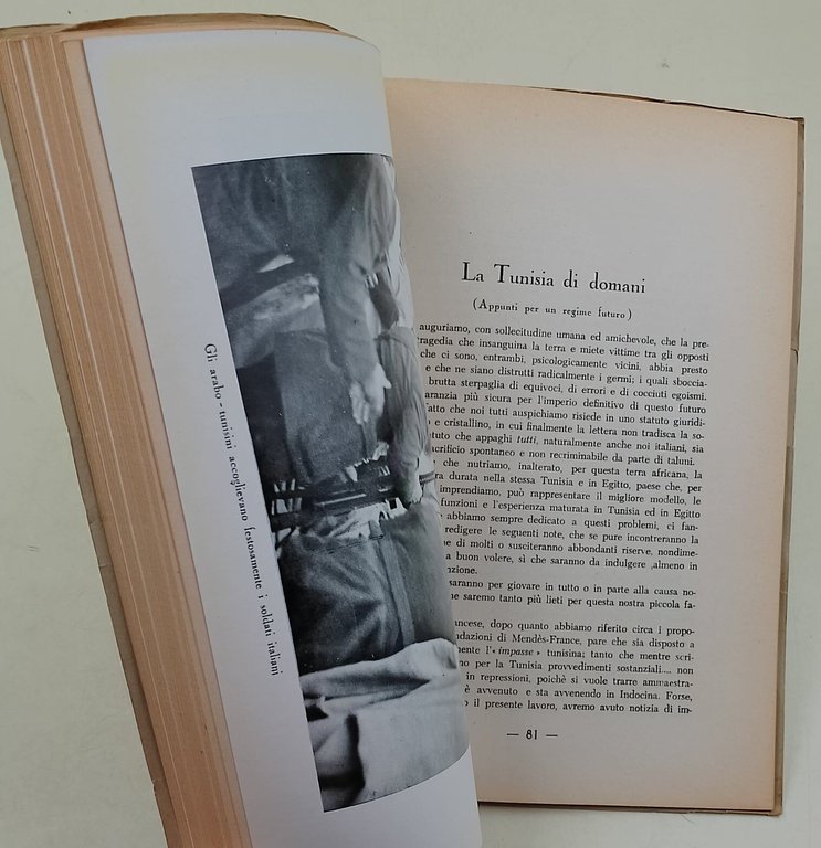In Tunisia a ciascuno il suo-Appunti per regime futuro(1954)