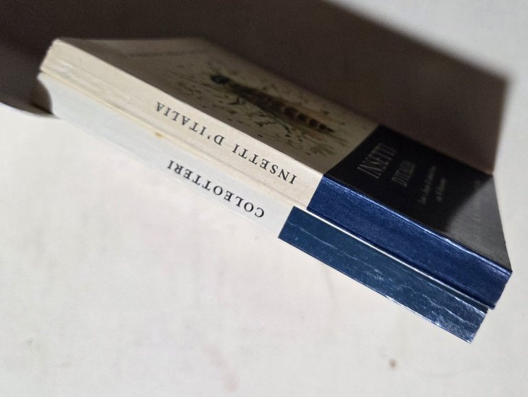 Insetti d'Italia - I coleotteri - 2 Voll. | Immagine Gallery 3