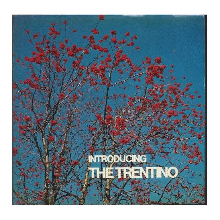 INTRODUCING THE TRENTINO