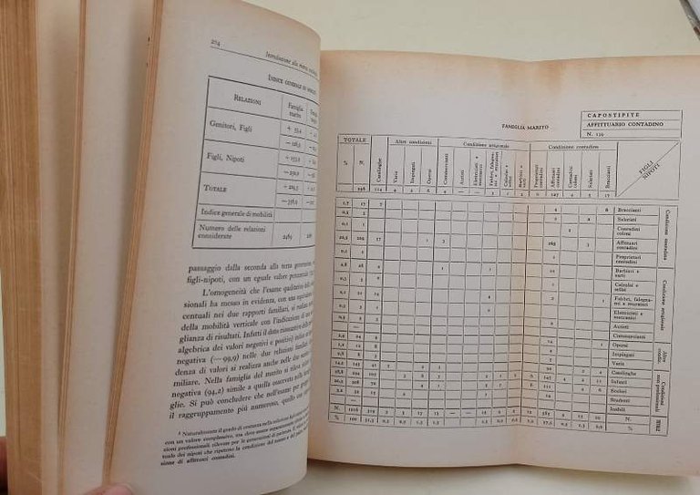 INTRODUZIONE ALLA RICERCA SOCIOLOGICA(1958)