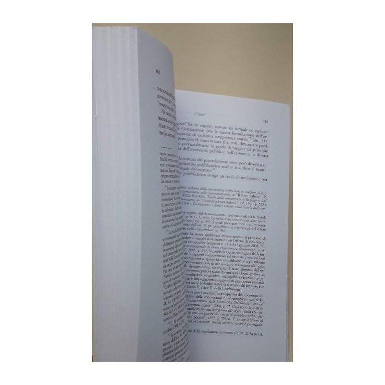 ISTRUTTORIA AMMINISTRATIVA E ORDINE DEL MERCATO(2008)