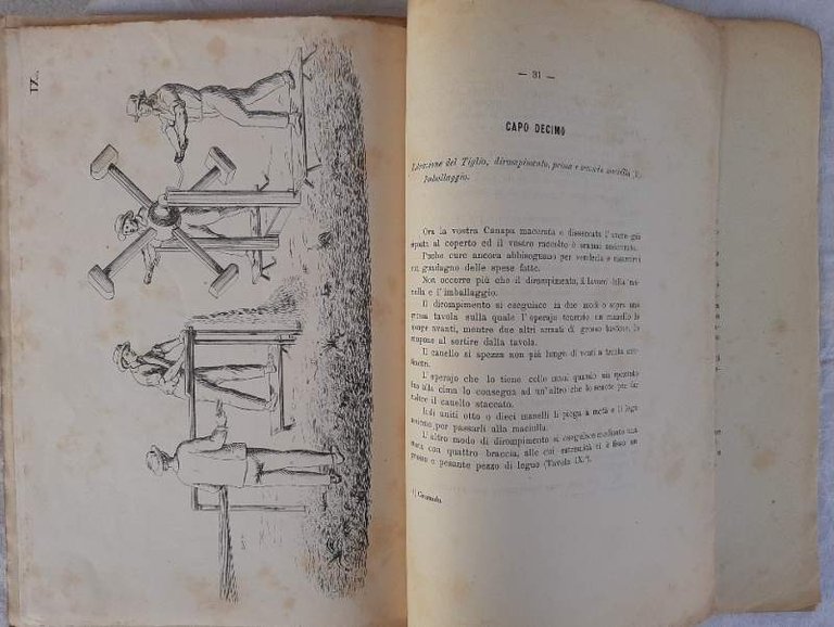 ISTRUZIONE PTATICA SULLA COLTIVAZIONE DELLA CANAPA(1868)
