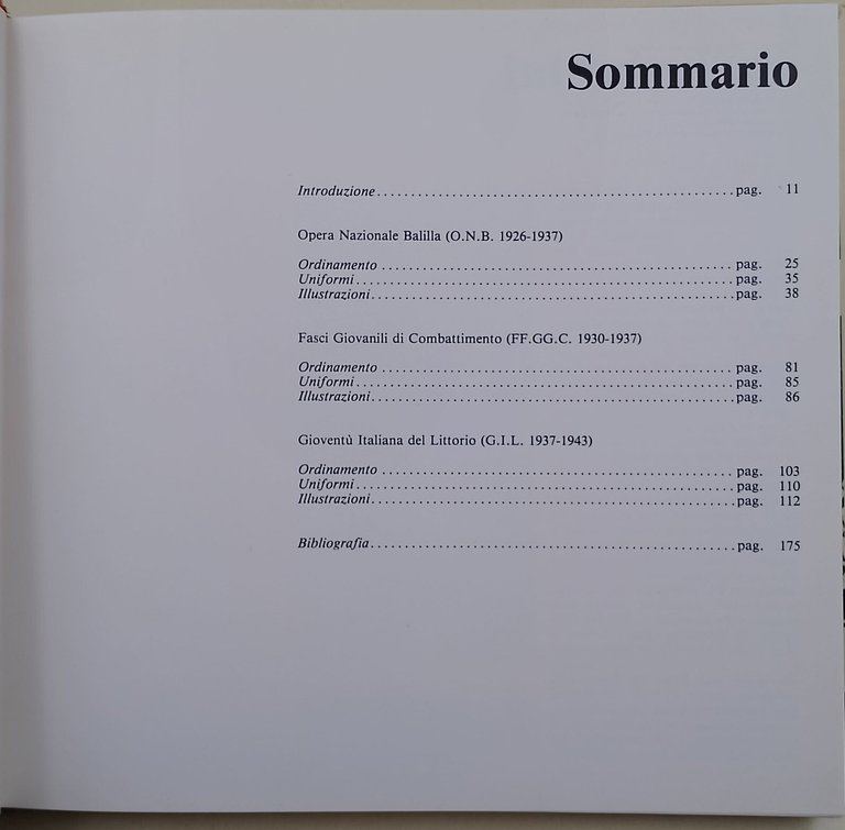 Italiani...tutti in divisa
