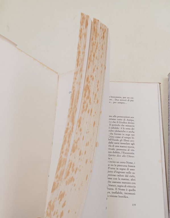 L'apocalisse- 2 voll